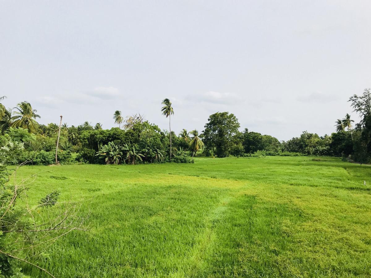 Nil Arana Resort ポロンナルワ エクステリア 写真